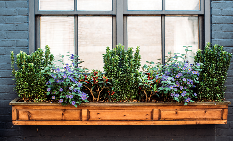 Creative Bay Window Decor Ideas to Enhance Your Space