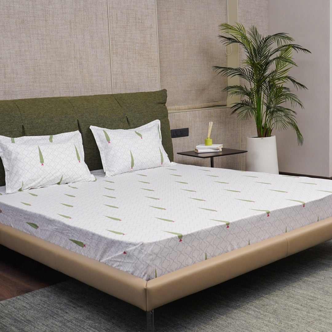 Regal Collection - Breathable 200 TC 100% Pure Cotton Bedsheet with Pillow Cover, Pinewood Grey Green