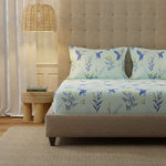 Serene 200 TC 100% Cotton Bedsheet with Pillow Covers - Whisper Mint Blue
