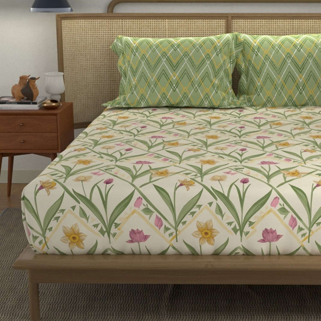 Divine - 100%  Cotton Double Bedsheet with 2 Pillow Covers - Spring Sage Green