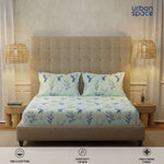Serene 200 TC 100% Cotton Bedsheet with Pillow Covers - Whisper Mint Blue
