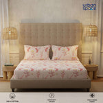 Serene 200 TC 100% Cotton Bedsheet with Pillow Covers - Whisper Peach