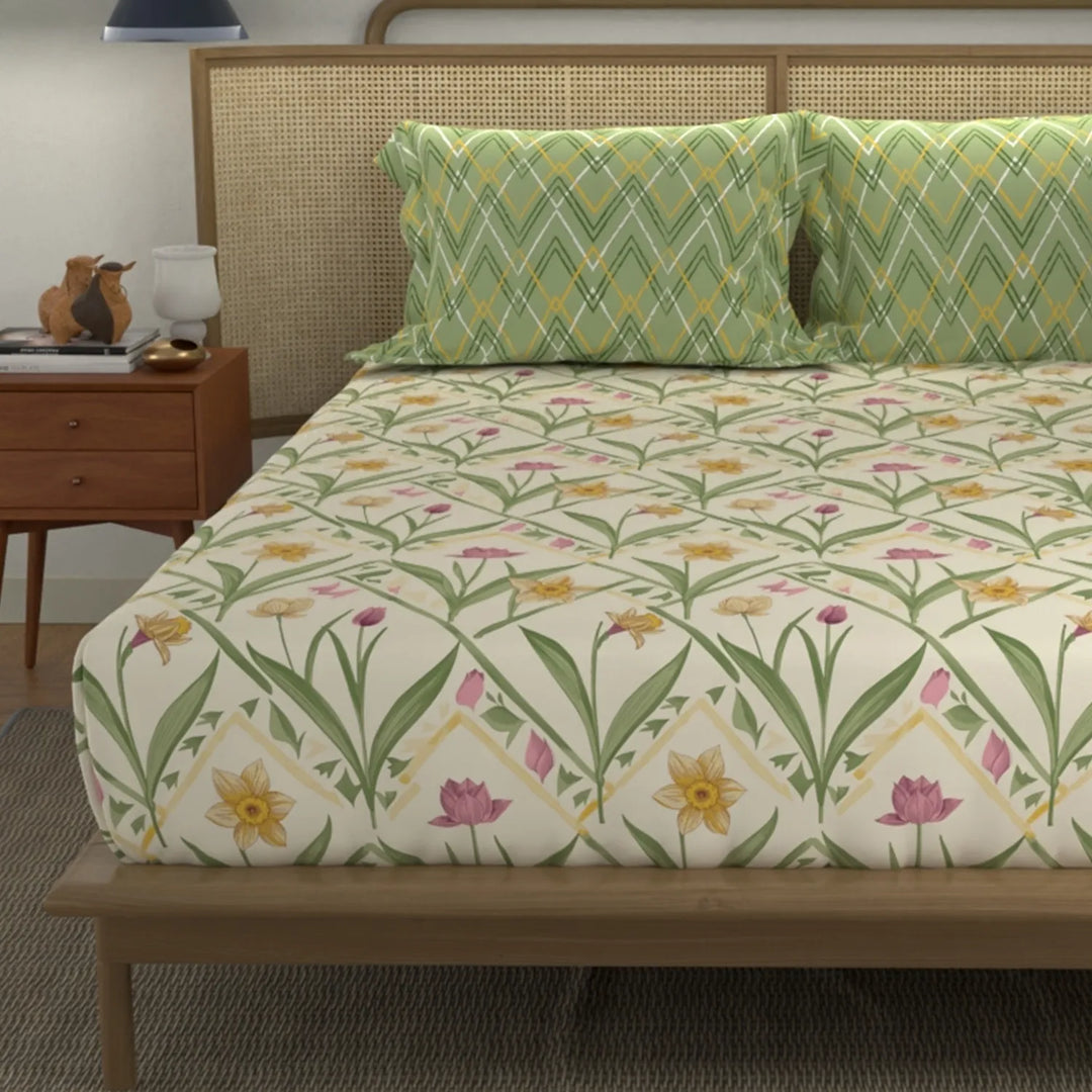 Divine Collection - Cotton Bedsheet With 2 Pillow Covers, Spring Sage Green