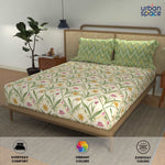 Divine - 100%  Cotton Double Bedsheet with 2 Pillow Covers - Spring Sage Green