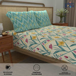 Divine - 100%  Cotton Double Bedsheet with 2 Pillow Covers - Spring Torquoise