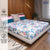 Divine Collection - 144 TC 100%  Cotton Double Bedsheet with 2 Pillow Covers, Earth blue